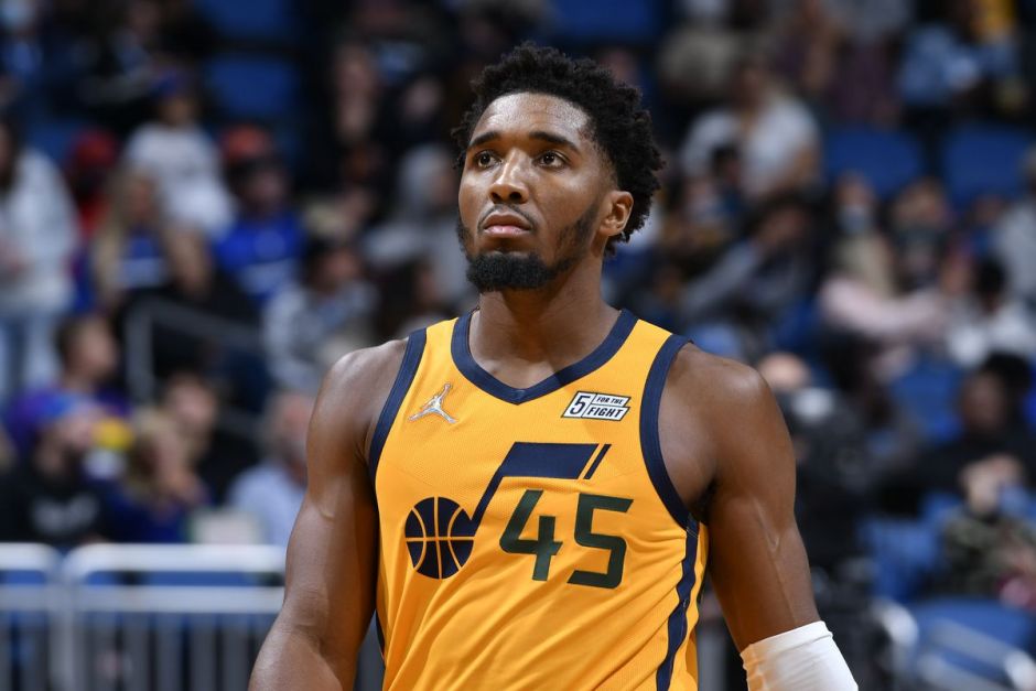 入中国羽毛 入中国羽毛